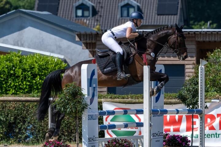 Reiterbekleidung Stickerei